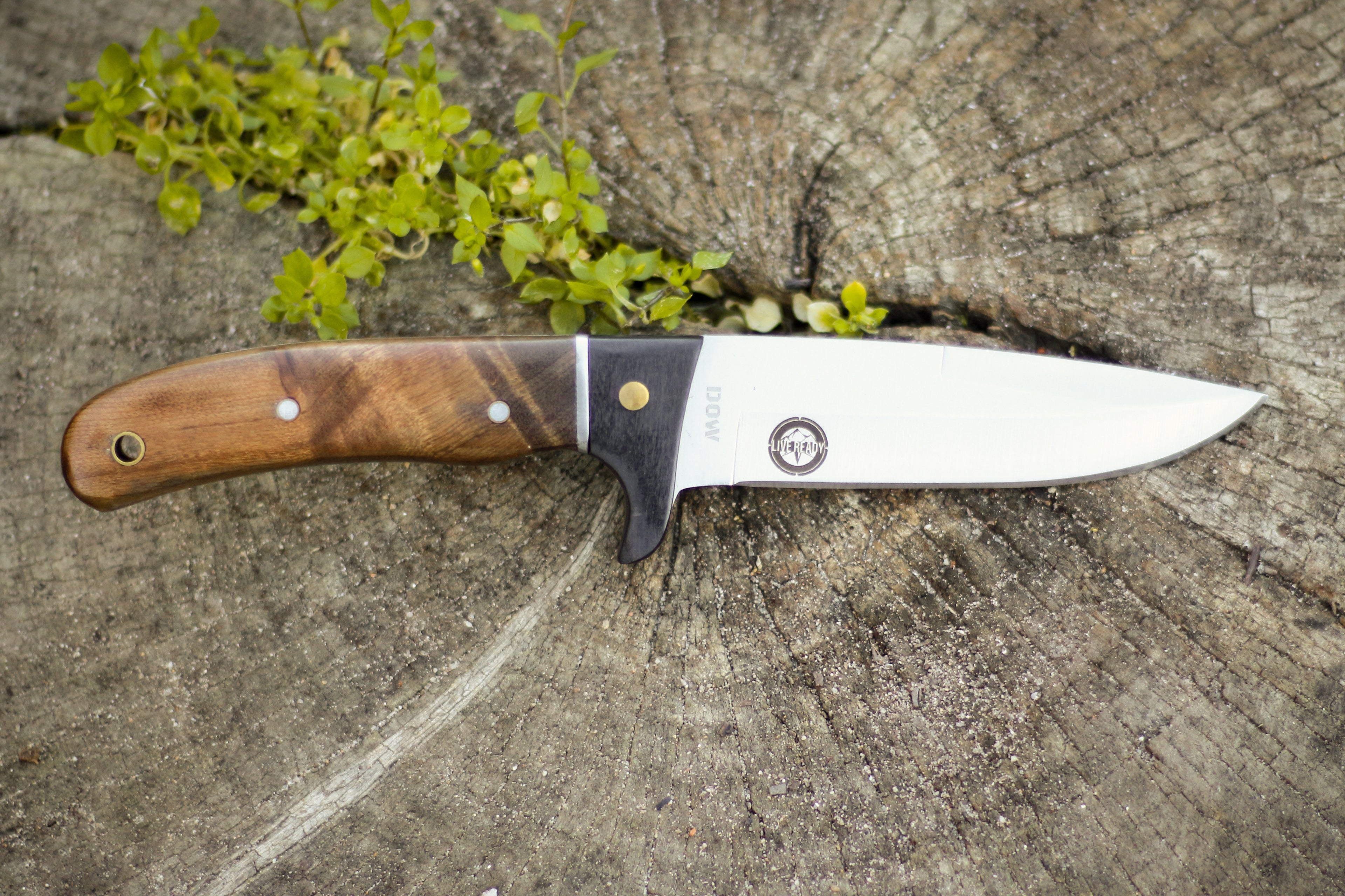 Burlwood Fixed Tang Knife With Leather Sheath