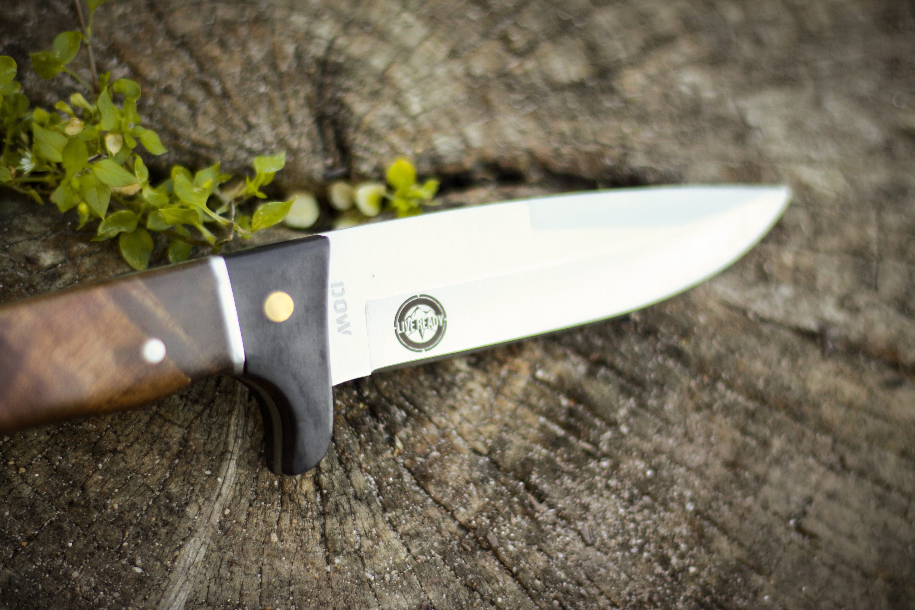 Burlwood Fixed Tang Knife With Leather Sheath