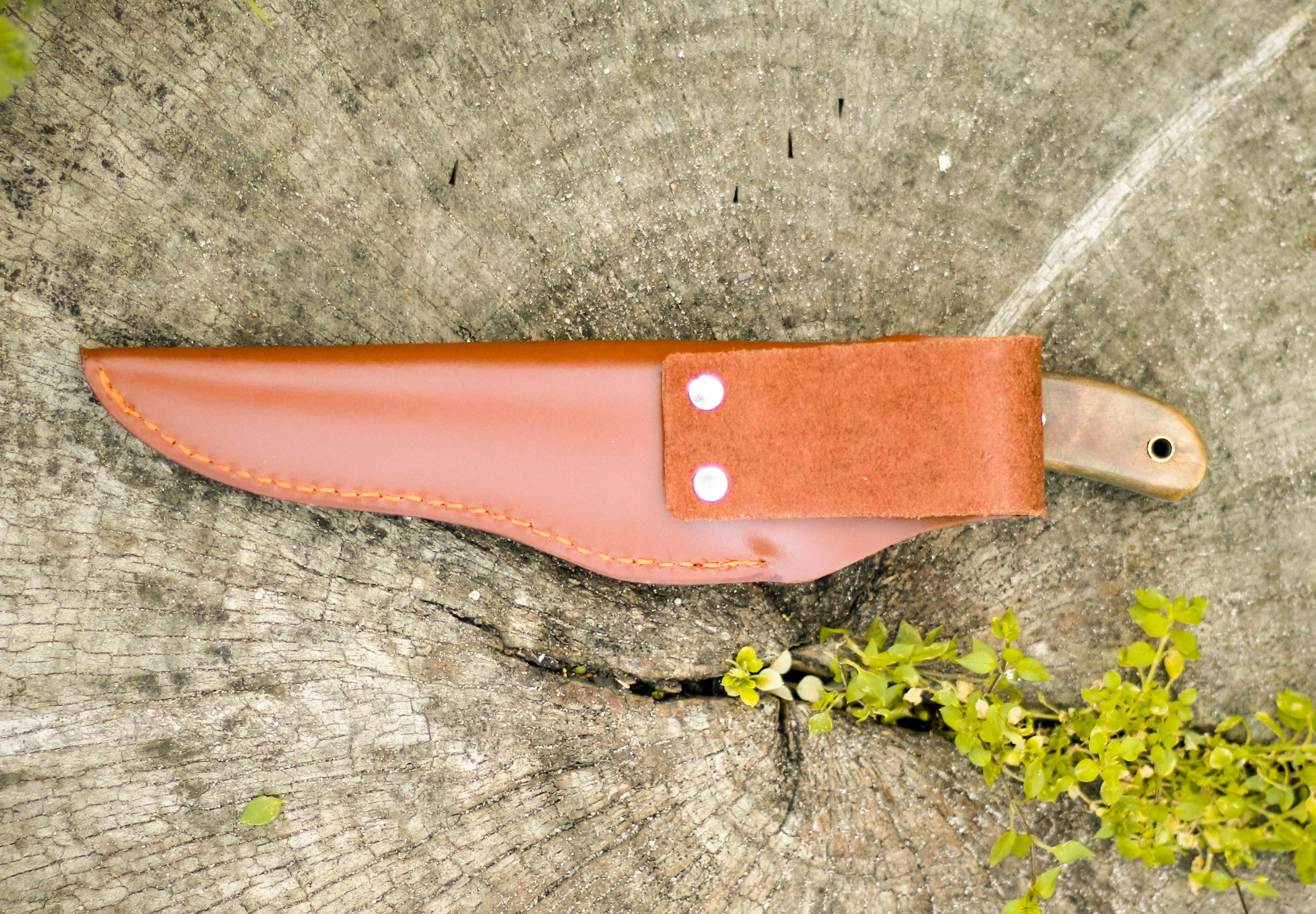 Burlwood Fixed Tang Knife With Leather Sheath